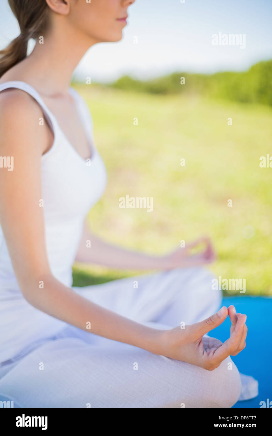 Peaceful young woman sitting in yoga position on her mat Stock Photo