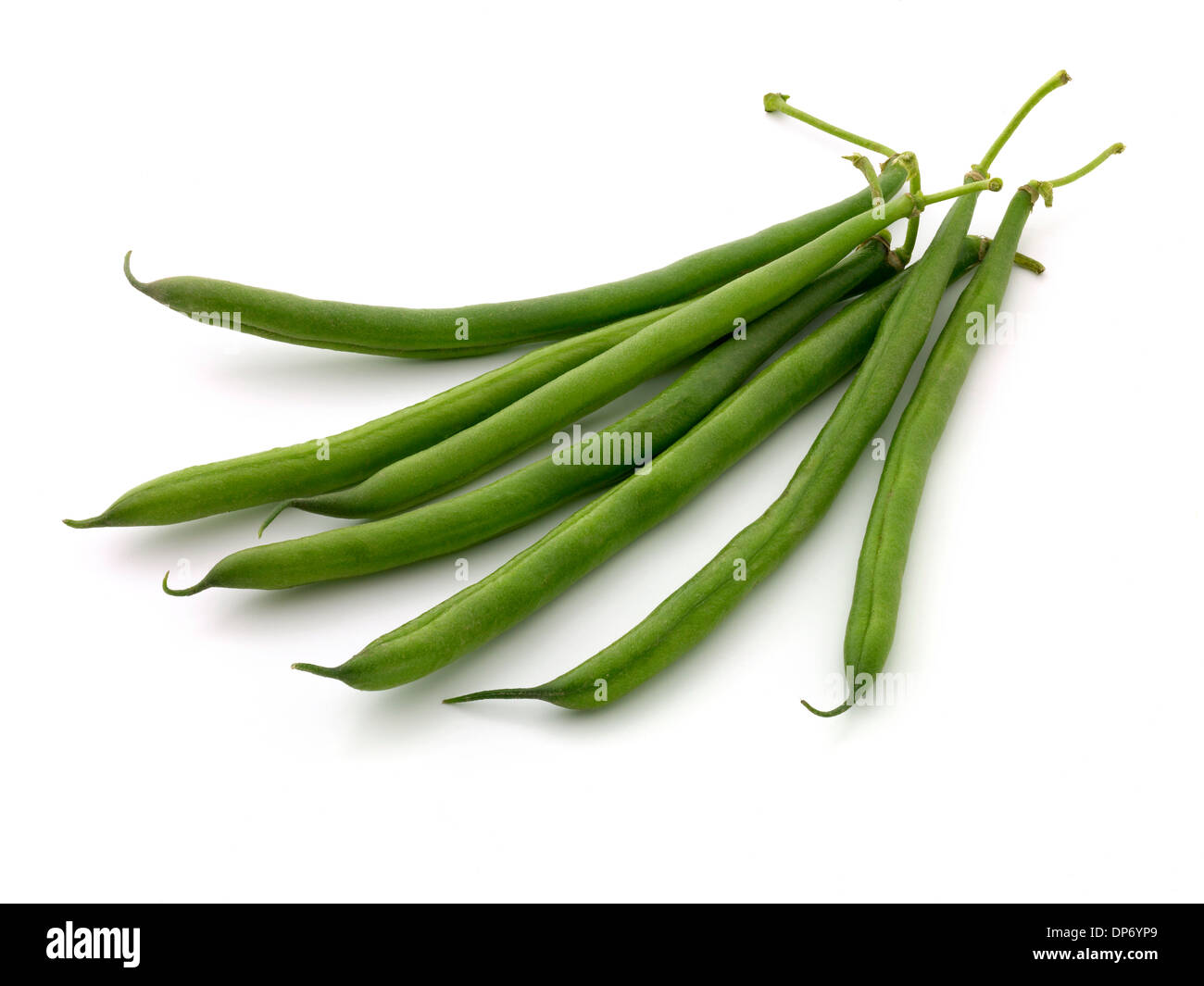 Grow french bean Cut Out Stock Images & Pictures Alamy