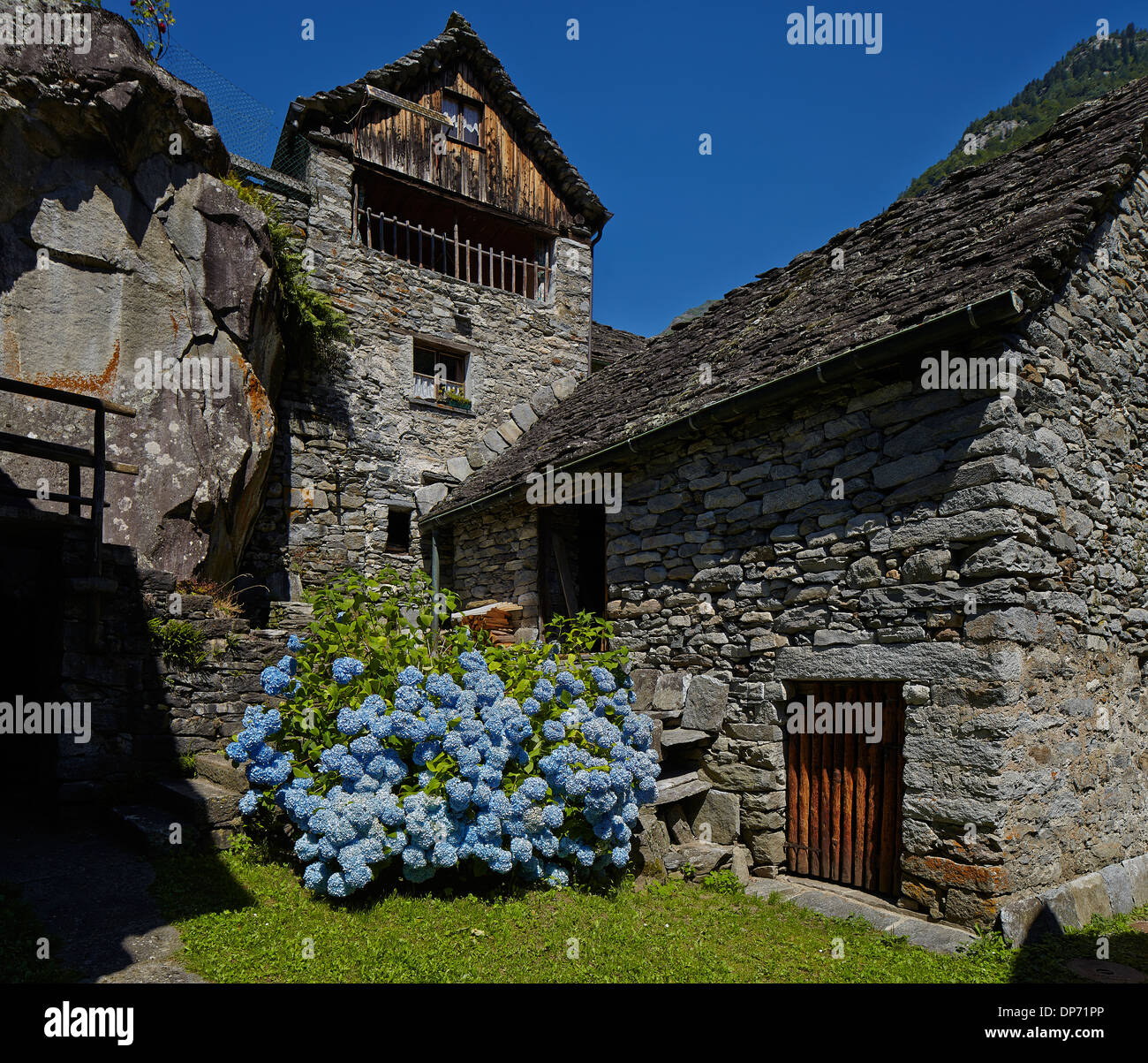 Old stone house with hydrangea in the Verzasca valley Stock Photo