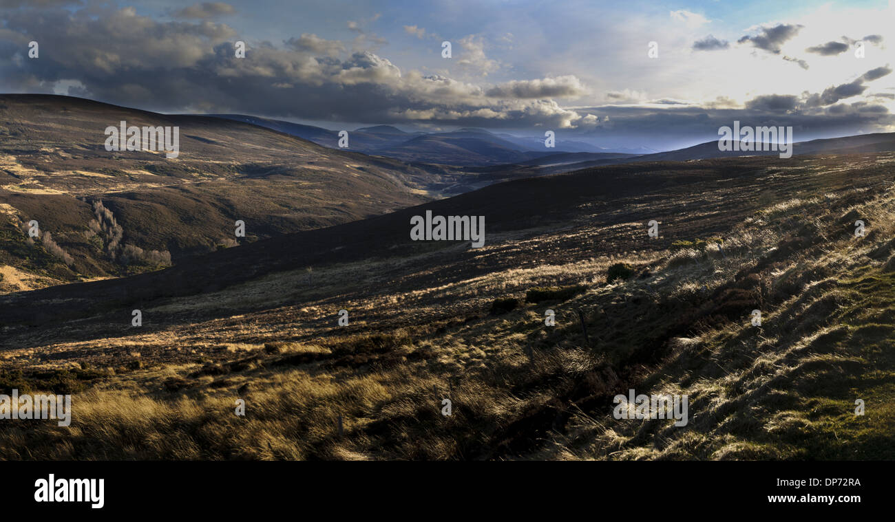 View of moorland habitat almost completely devoid of snow during unseasonably warm spring of 2011 Cairngorms N.P. Aberdeenshire Stock Photo