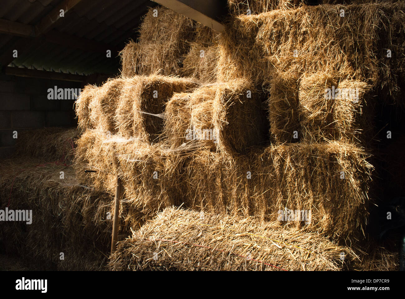 Hay Bales In A Barn Stock Photo Alamy