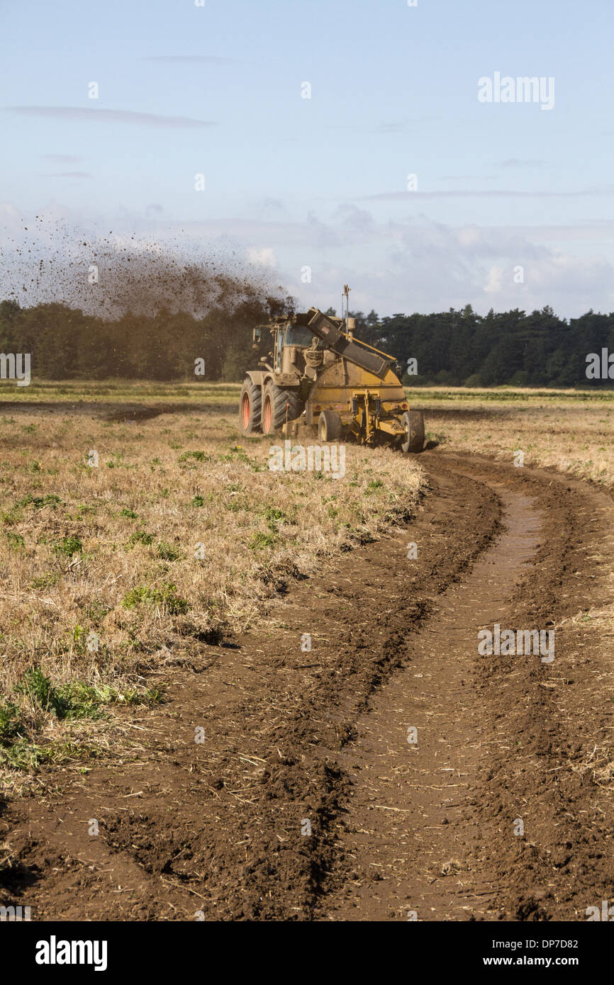 The restoration and creation of wetland habitats for wading birds and waterfowl by using a rotary ditcher which create foot Stock Photo