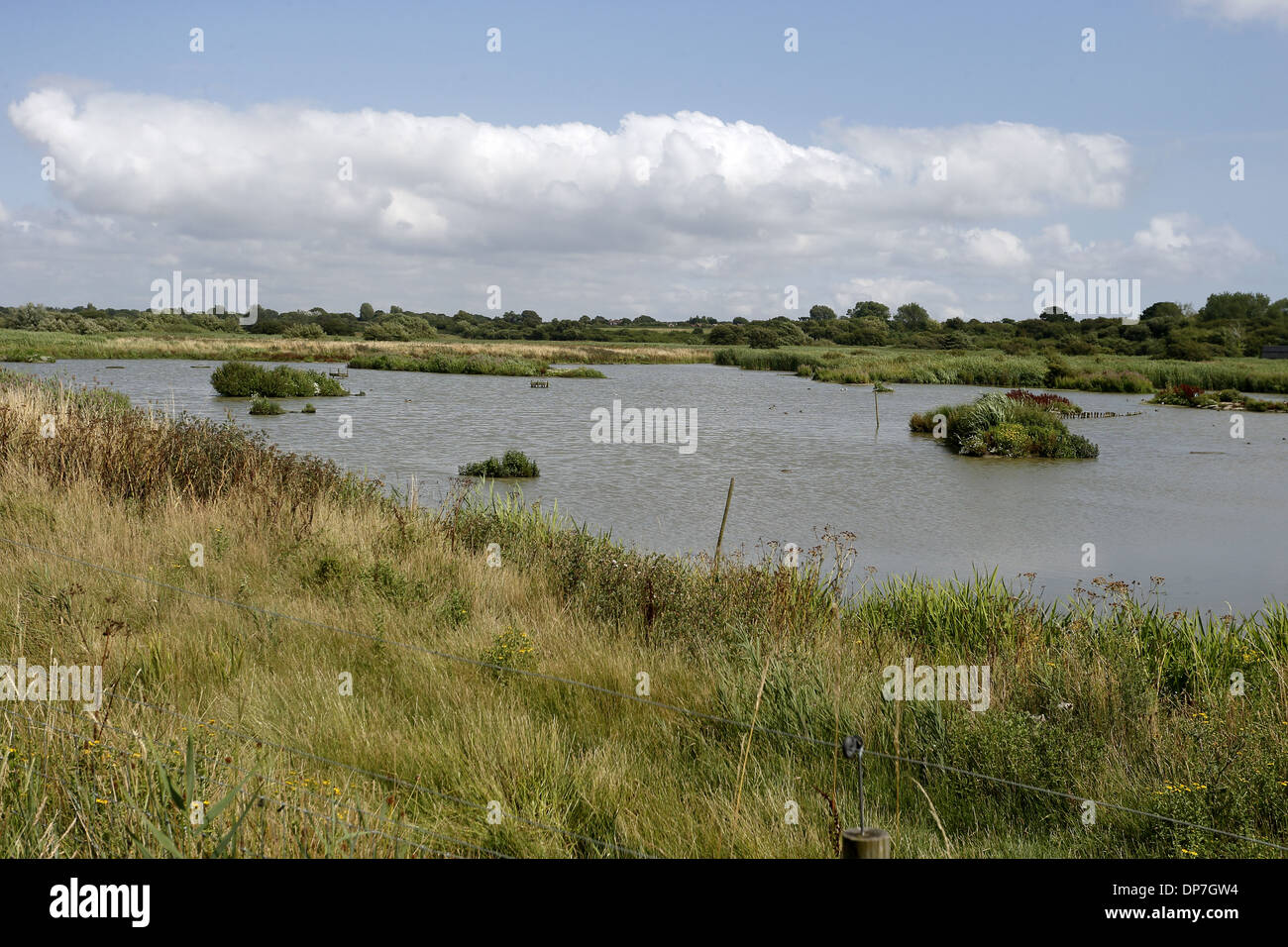 View of open water at wetland reserve, Titchfield Haven National Nature Reserve, Hampshire, England, August Stock Photo