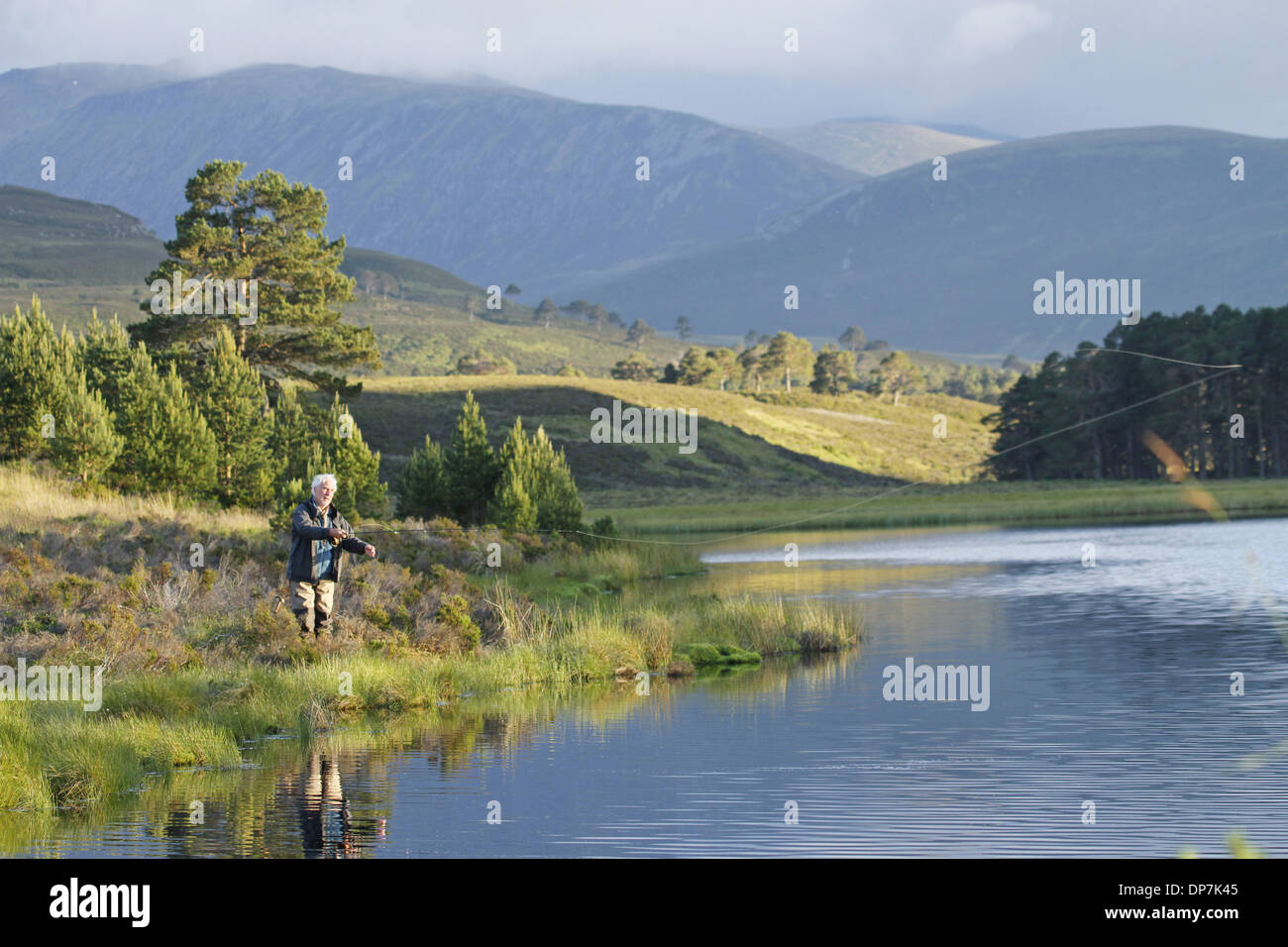 Fly fishing for trout in freshwater loch Loch a' Chnuic Abernethy Forest Strathspey Cairngorms N.P. Highlands Scotland June Stock Photo