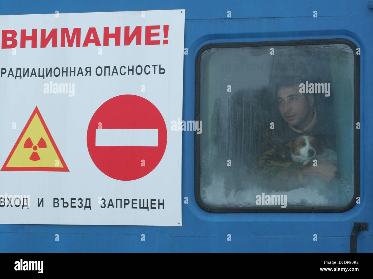 Chernobyl Cattle Polessk radiation-ecological reserve park located in Chernobyl` 30 km ...
