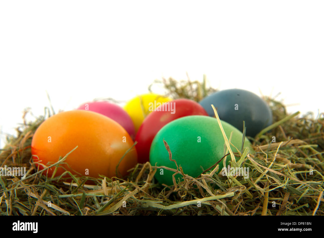 colorful straw nest easter eggs isolated over white background Stock ...