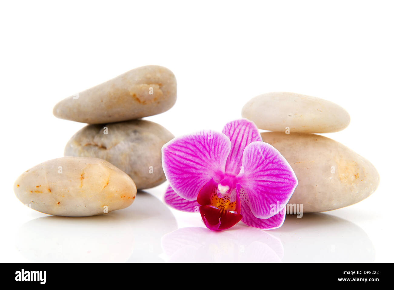 Nature pink Orchid and white hot stones isolated over white Stock Photo