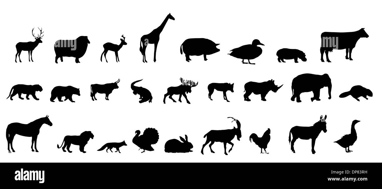 vector set of animals silhouette Stock Photo