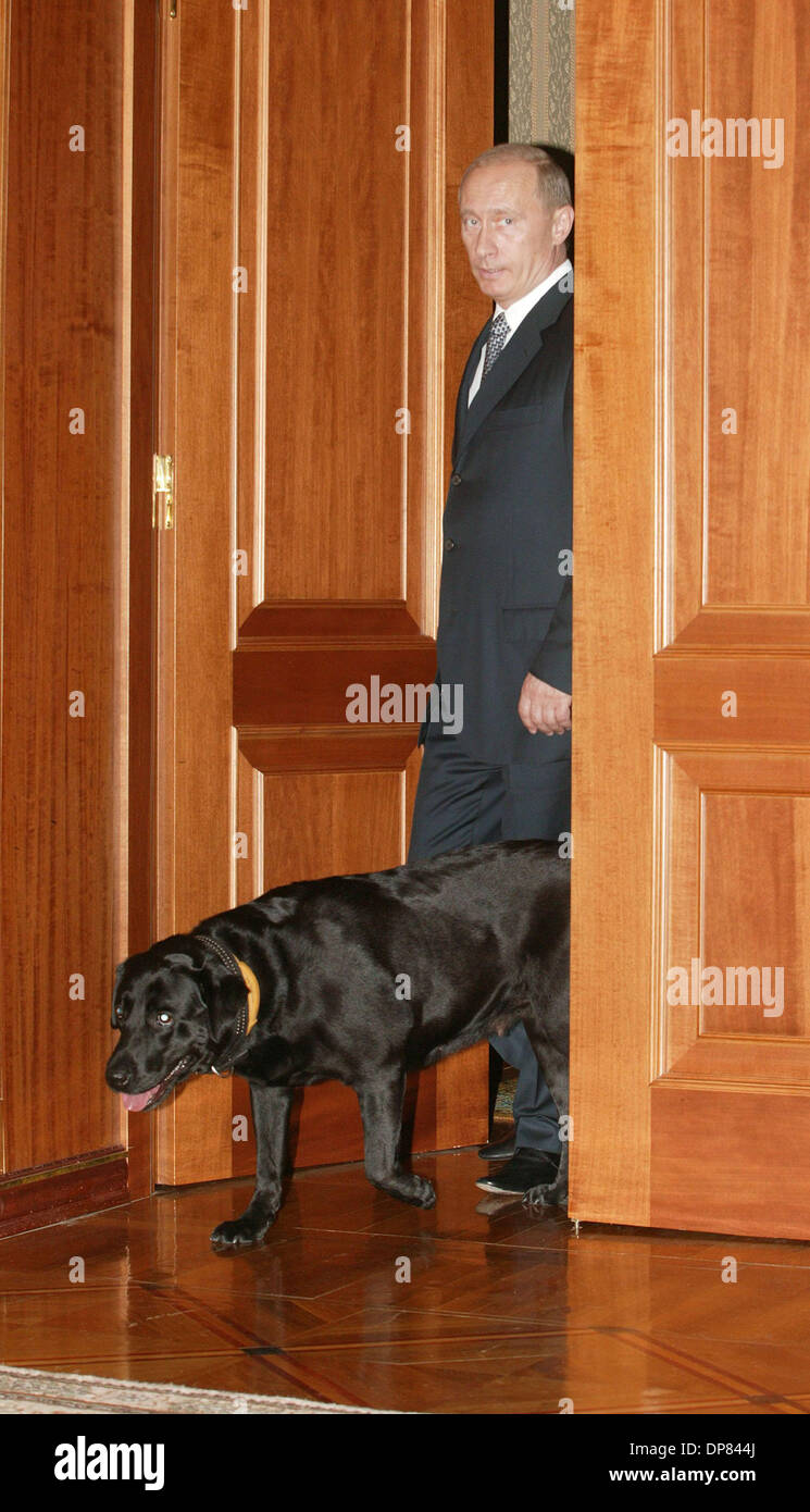 Russian president Putin and his dog Konni. (Credit Image: © PhotoXpress/ZUMA Press) RESTRICTIONS: North and South America Rights ONLY! Stock Photo - Alamy Russian president Putin and his dog Konni. (Credit Image: © PhotoXpress/ZUMA Press) RESTRICTIONS: North and South America Rights ONLY! Stock Photo - Alamy