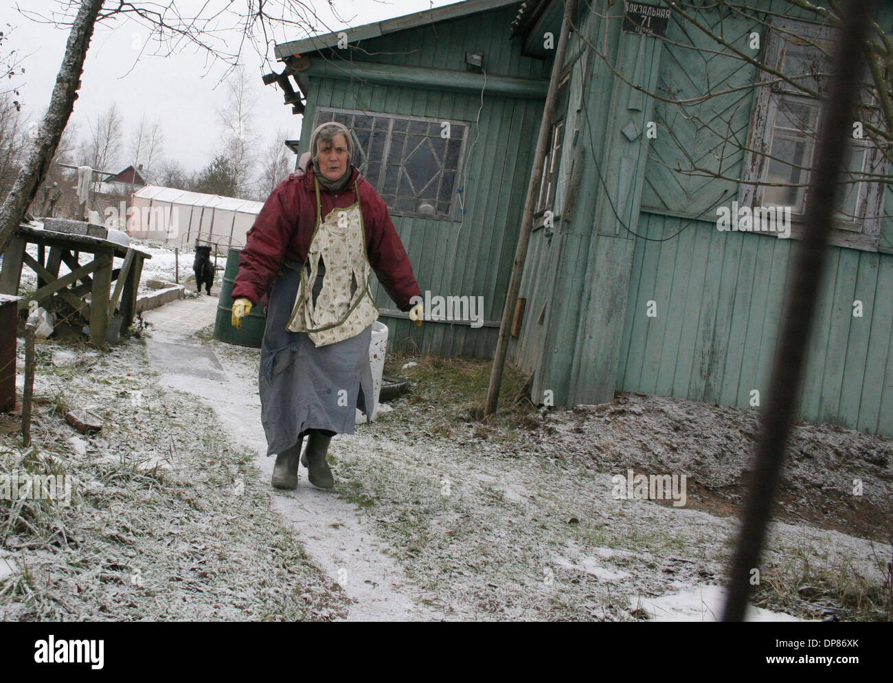Dacha putin hi-res stock photography and images - Alamy
