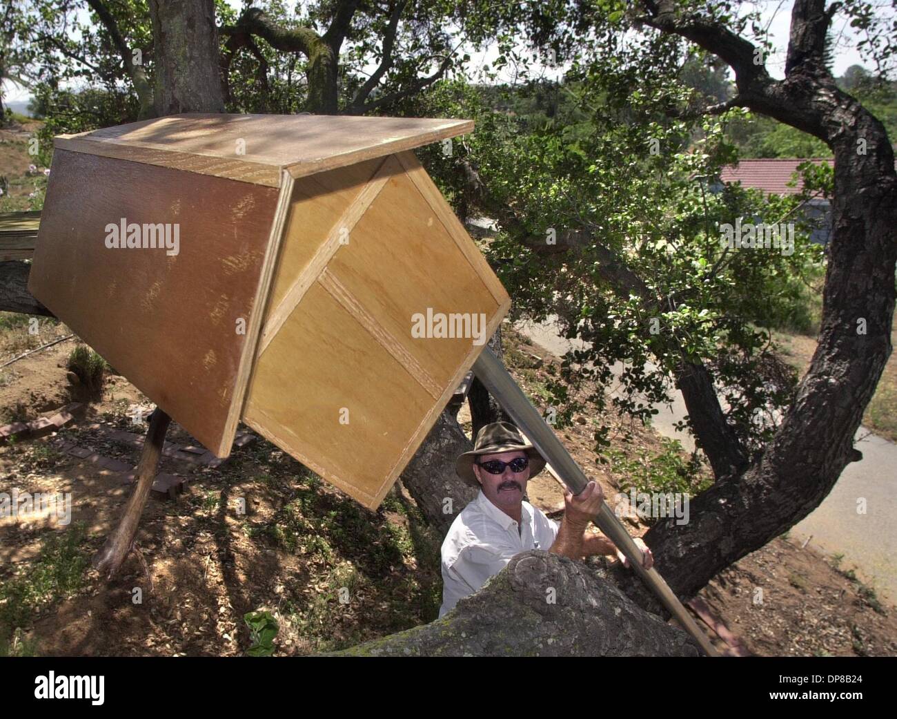 (published 05/30/2004, Eds. 1,2,3; UTS1810918; Ed. N; UTS1810935) TOM STEPHAN positions a 16 foot long pole mounted owl house into place next to an oak tree in the side yard of the home of Alberta Jane Parker and James Churchyard in Fallbrook.  U/T Stock Photo