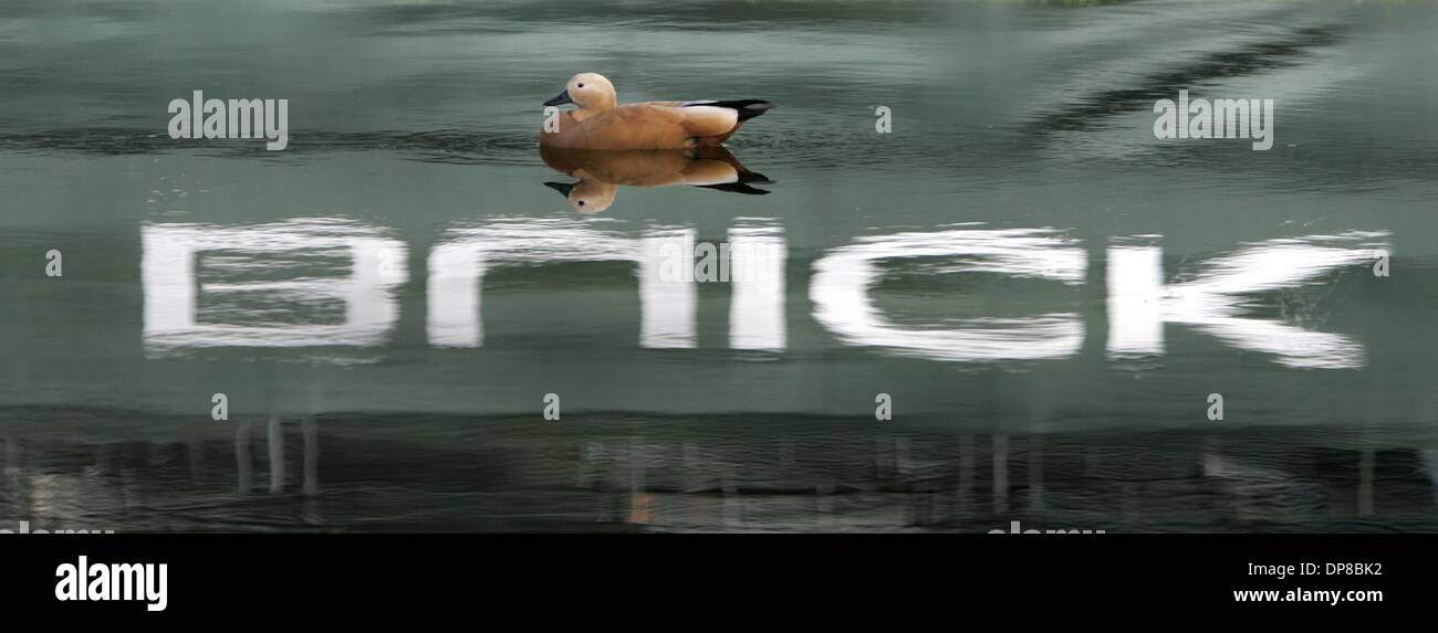 Poy logo hi-res stock photography and images - Alamy