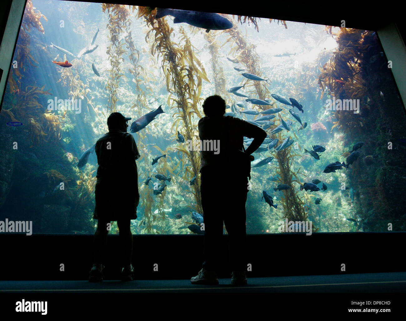 Birch aquarium hires stock photography and images Alamy