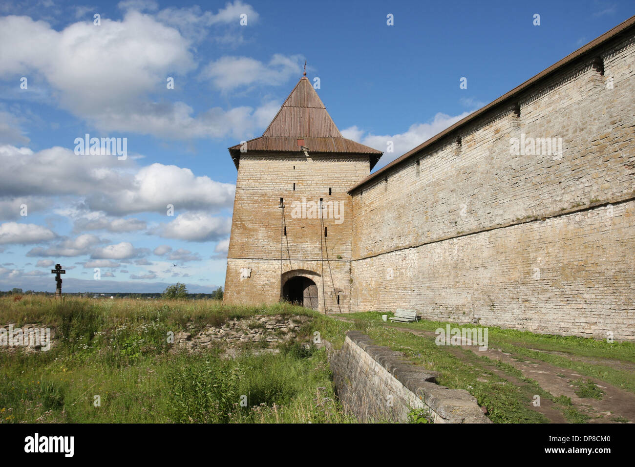 Mushukdagi sikiklar va cums