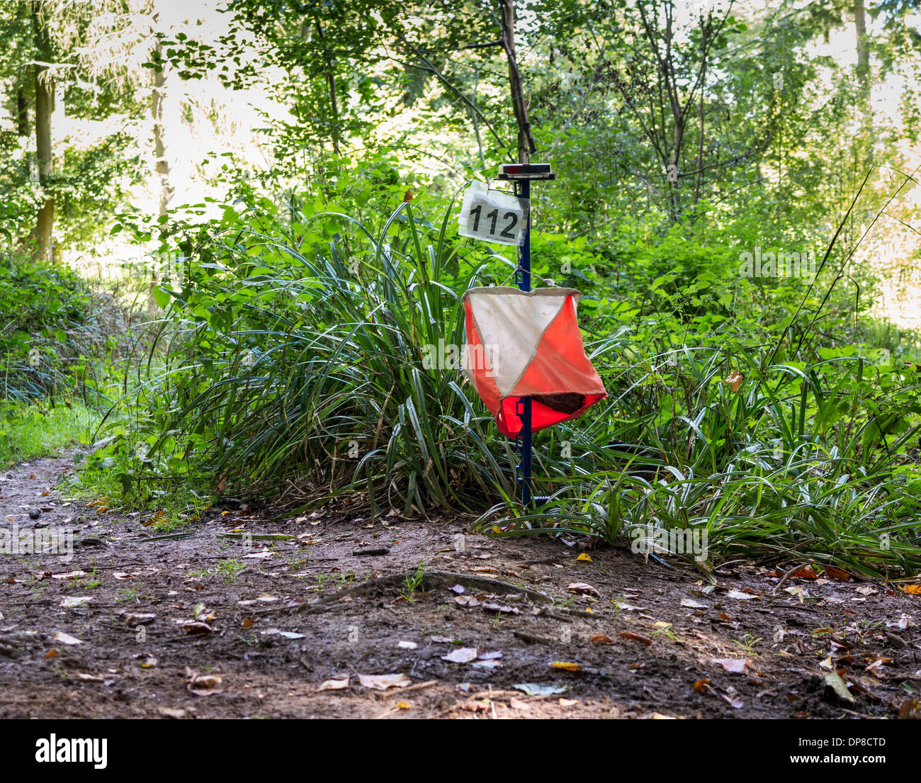 Orienteering Equipment in the Forest Stock Photo