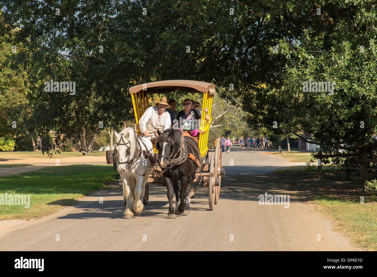 Colonial Williamsburg horse drawn carriage recreates 18th century transportation in town Stock Photo