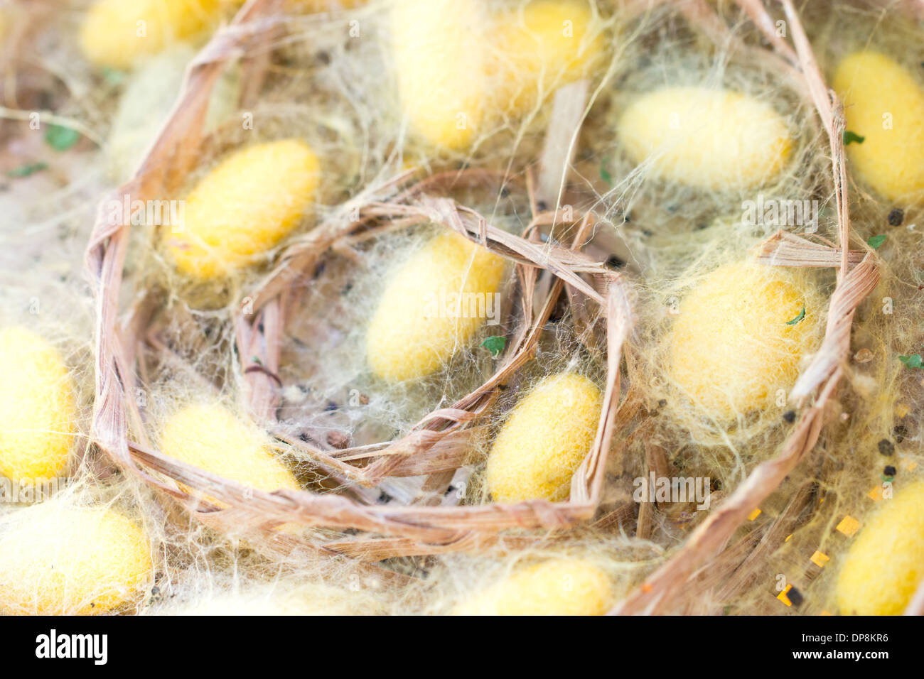 Close up of silkworms nest in bamboo basket. Stock Photo