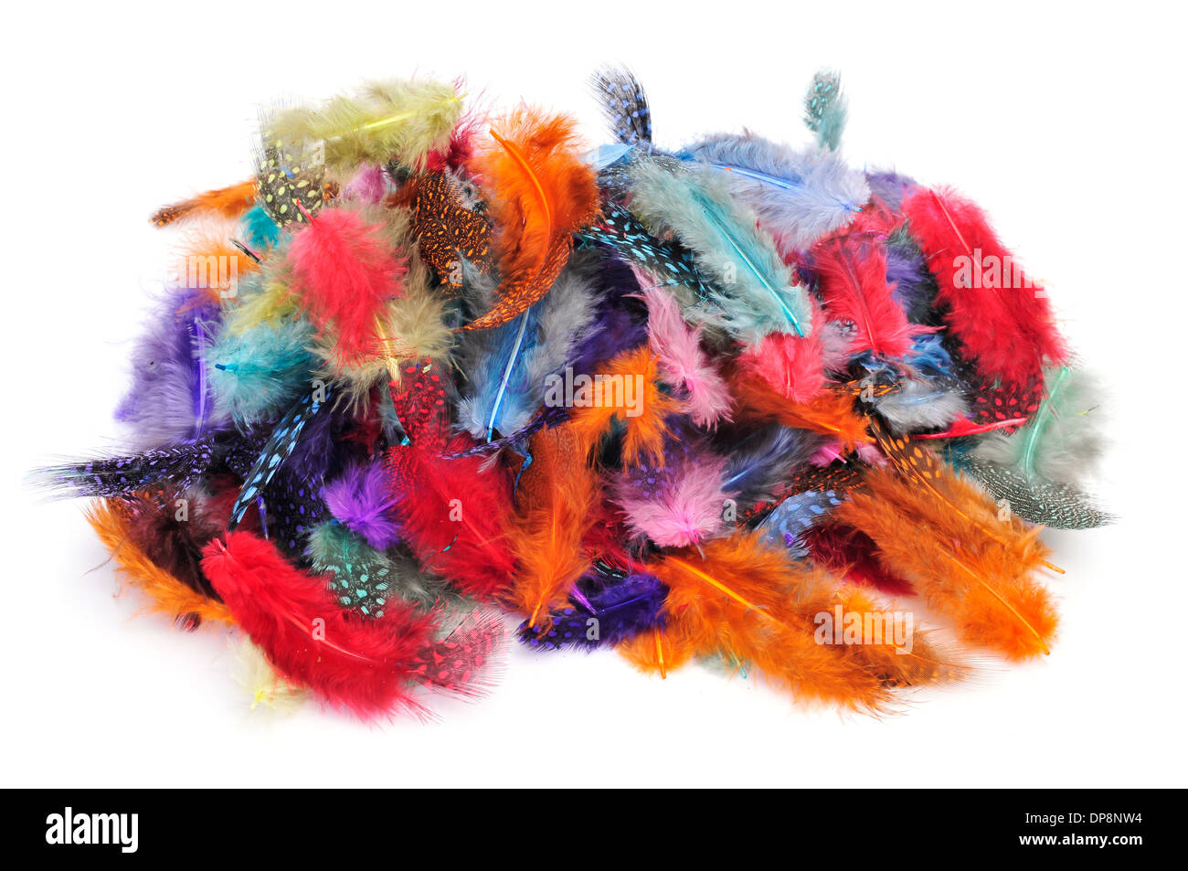 some feathers of different colors on a white background Stock Photo - Alamy