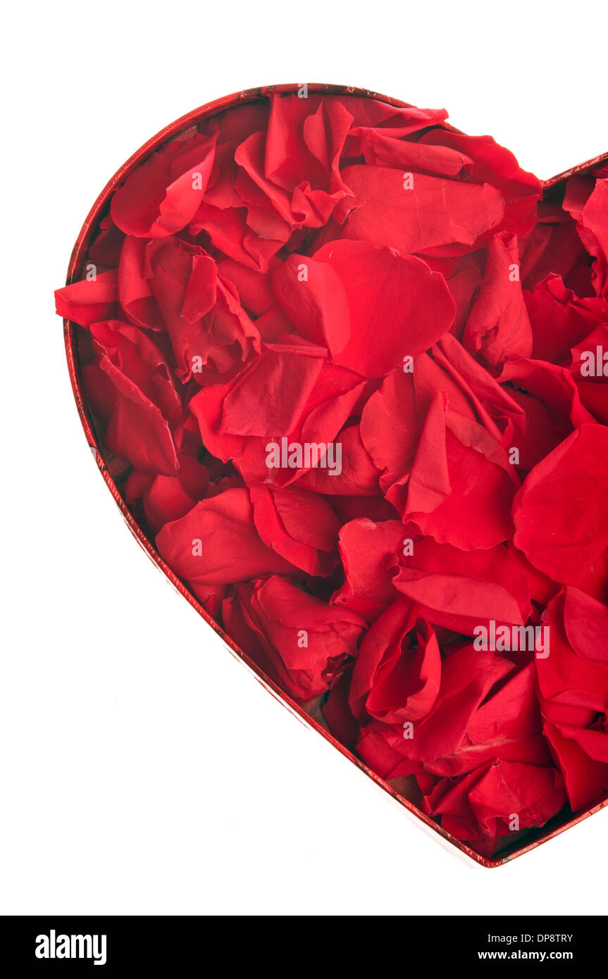 valentine heart shaped box with red rose petals, love concept Stock Photo