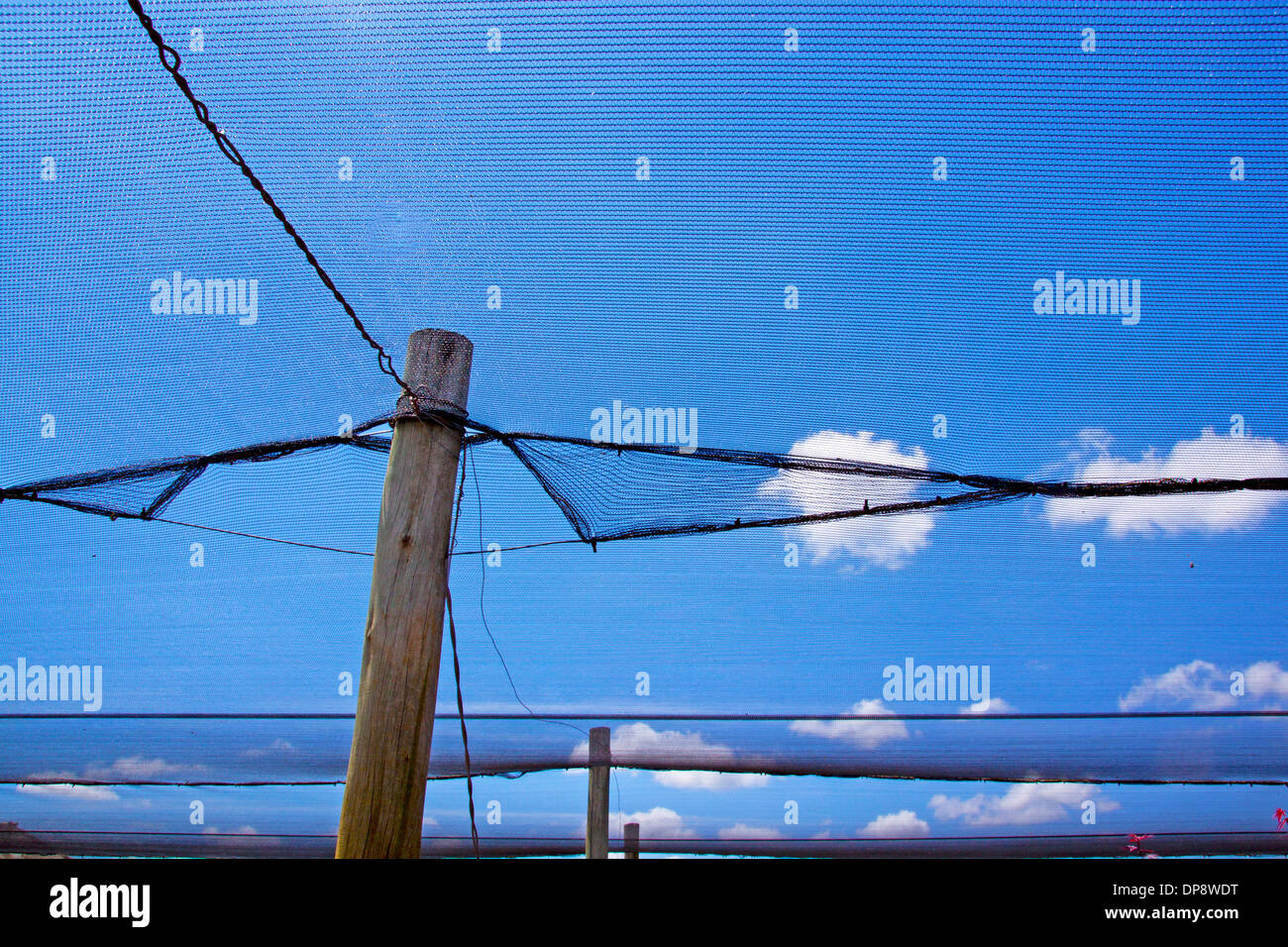 shade cloth supported by wooden poles to protect seedlings Stock Photo