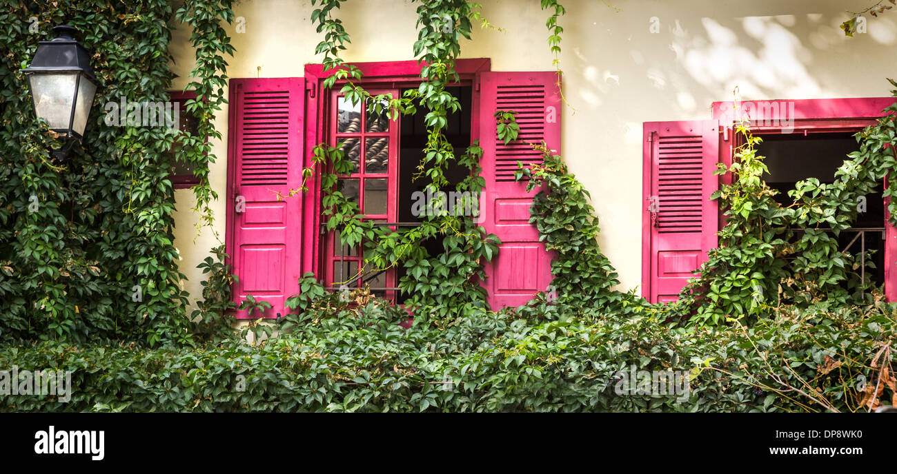 Carcassonne. France, Europe. Traditional French windows and pink shutters with ivy growing up the walls. Stock Photo