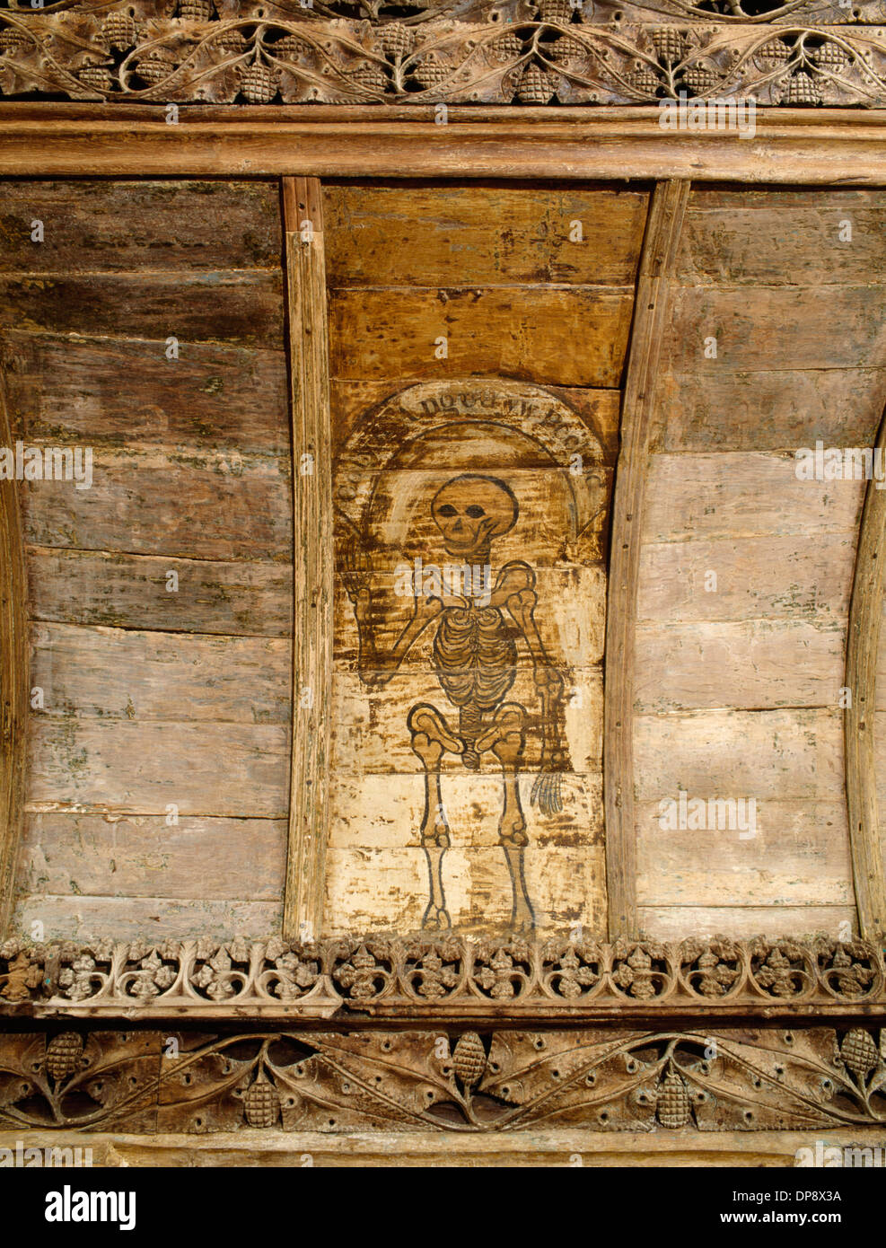 Painted skeleton memento mori on soffit (curved ceiling) of oak rood screen (1495) in St Eilian's Church, Llaneilian, Anglesey. Stock Photo
