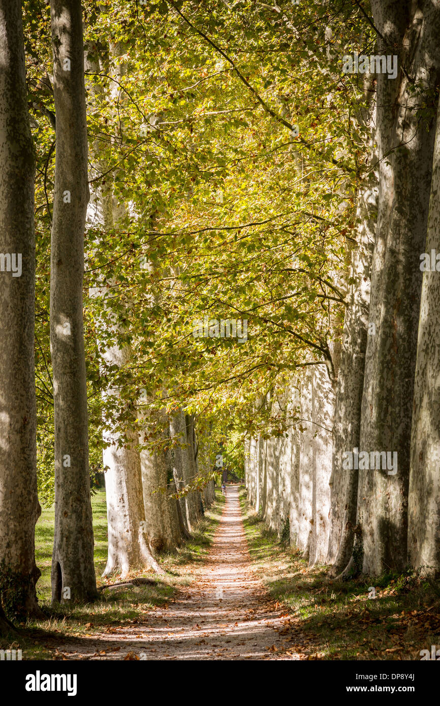 France countryside hires stock photography and images Alamy