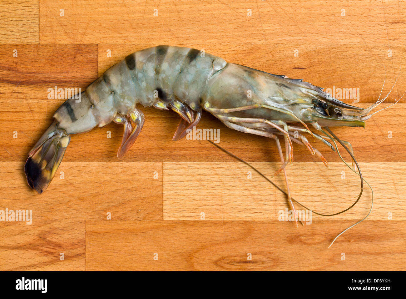 Tiger shrimp hires stock photography and images Alamy