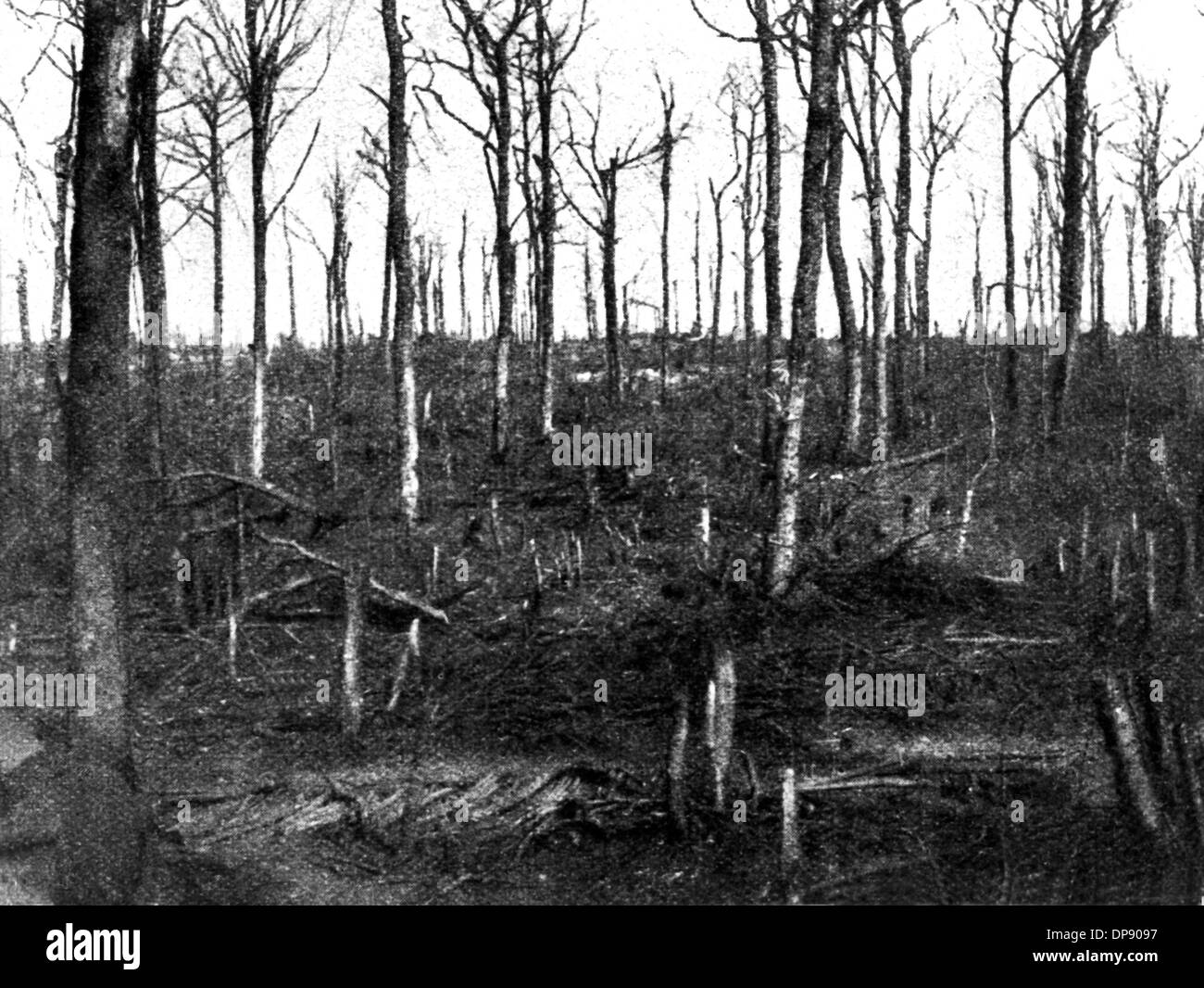 World war triple entente french Black and White Stock Photos & Images ...