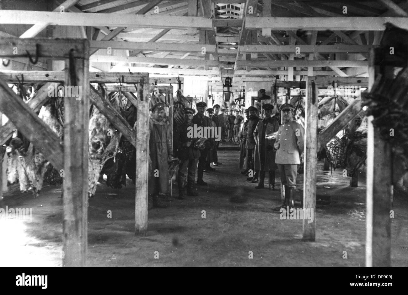 Supply of the troops with food: view into a slaughterhouse in Russia. The deadly shots by Serbian nationalists on the Austrian heir to the throne Franz Ferdinand on the 28th of June in 1914 in Sarajevo caused the outbreak of the Great War, later to be called World War I, in August 1914. The Central Powers, namely Germany, Austria-Hungary and as well later the Ottoman Empire (Turkey) and Bulgaria against the Triple Entente, consisting of Great Britain, France and Russia, as well as numerous allies. The sad result of World War I, which ended with the defeat of the Central Powers: round 8.5 mill Stock Photo