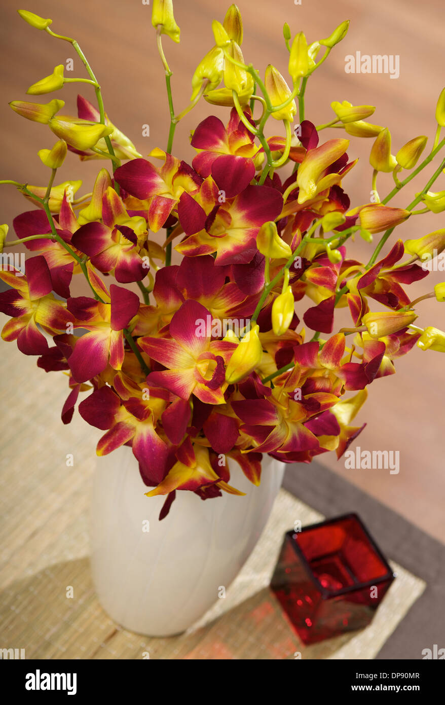 Christmas orchids hi-res stock photography and images - Alamy