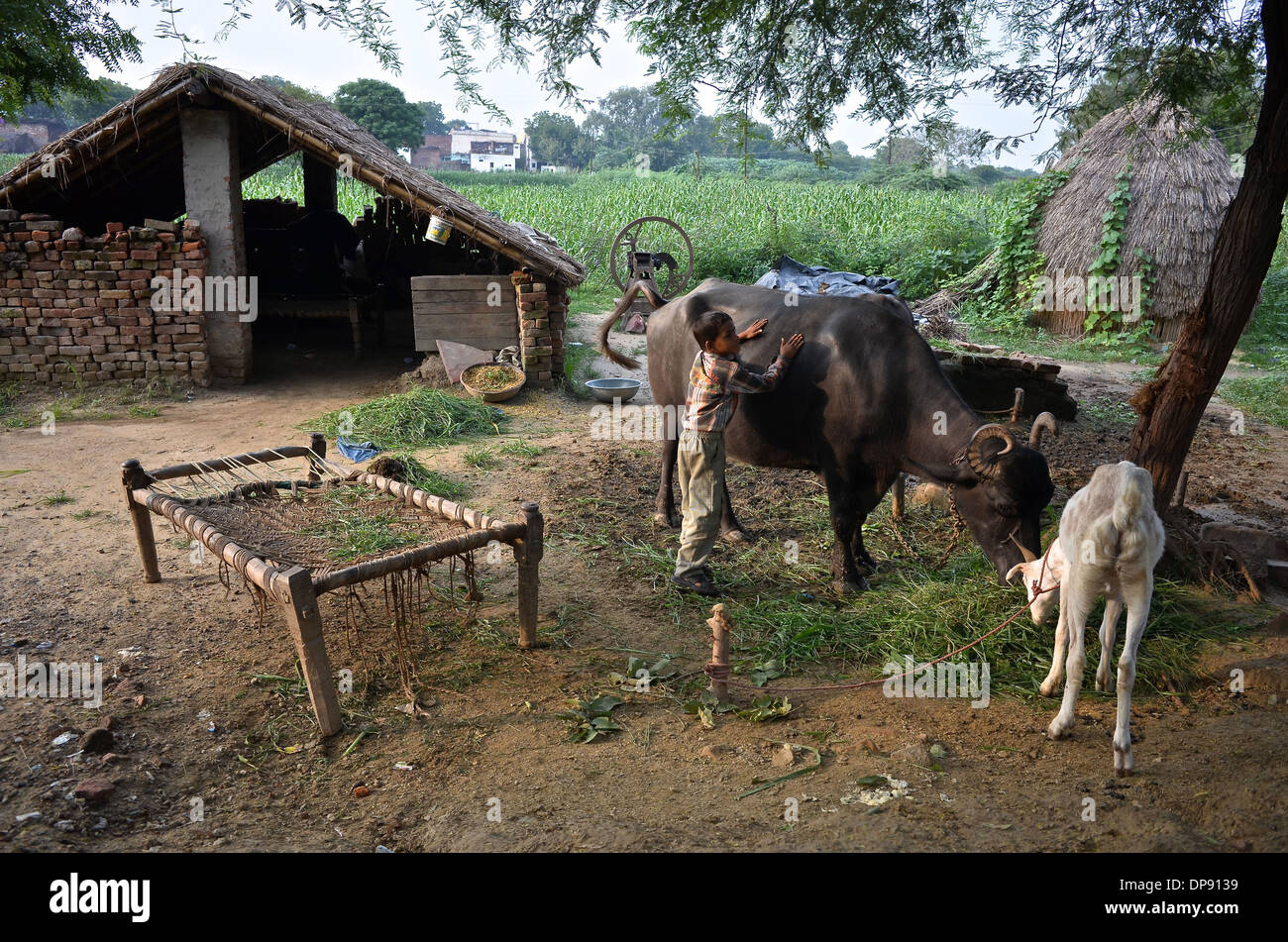 Country style Stock Photo