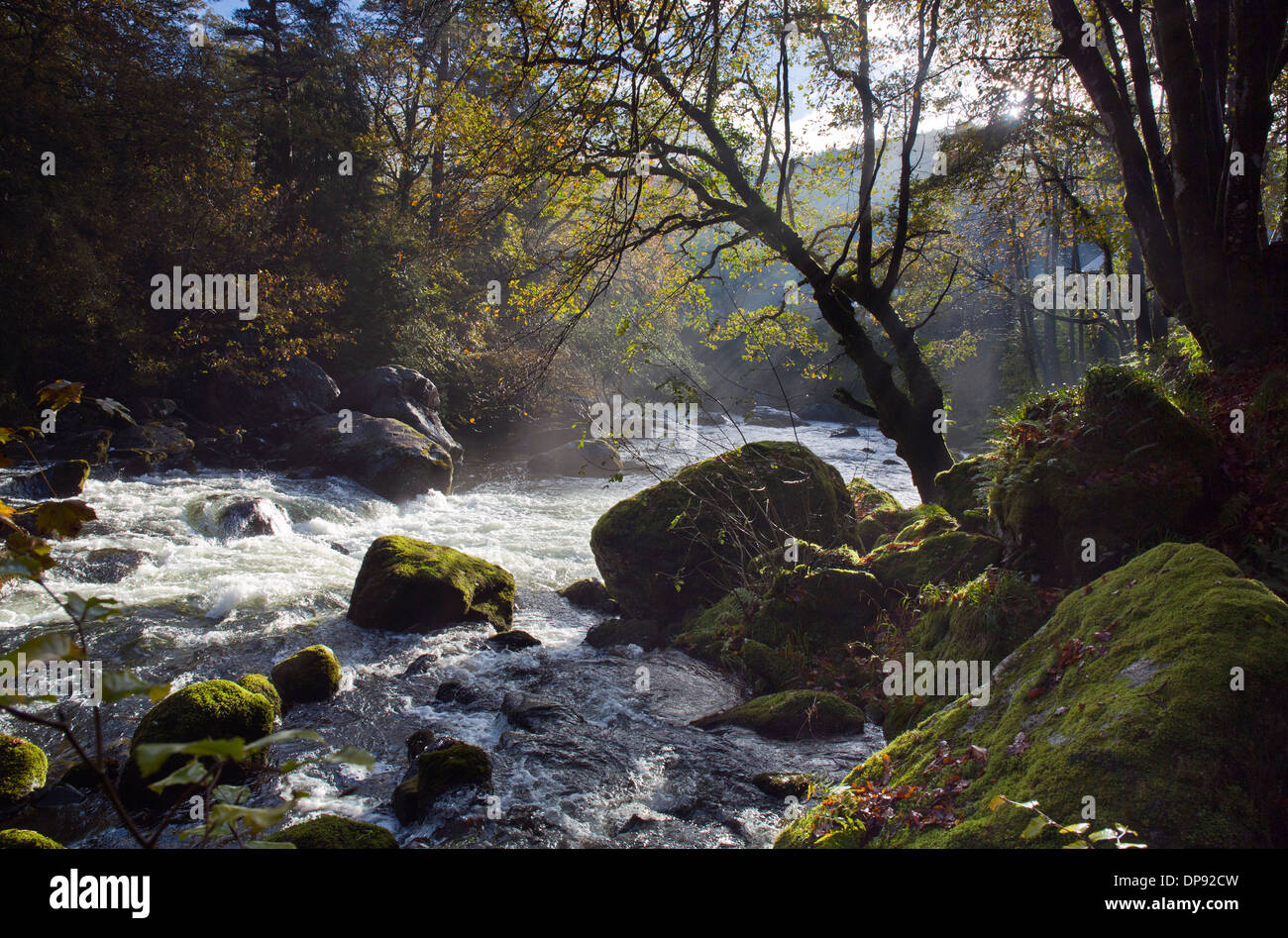 Photograph of River Llugwy (Afon Llugwy) in spate Betws-y-Coed Snowdonia National Park Gwynedd North Wales United Kingdom Europe Stock Photo