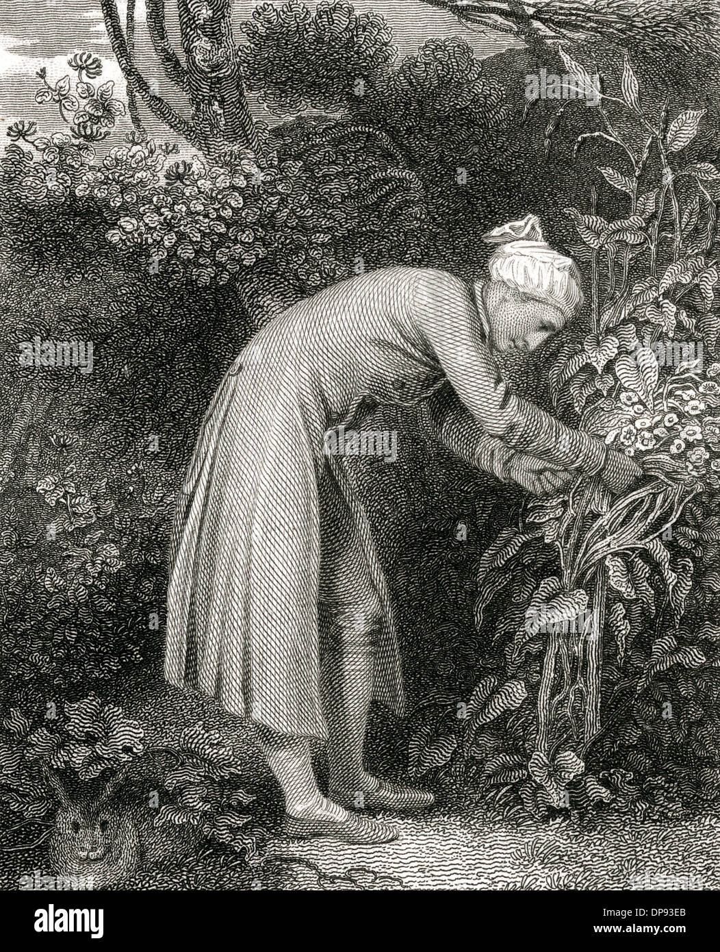 William Cowper Stock Photo Alamy