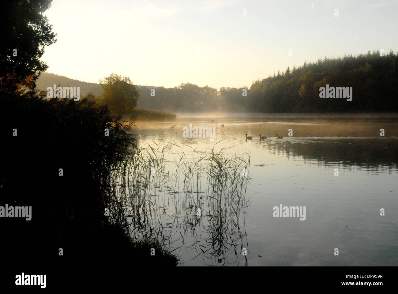 The Lake District National Park the-lake-district-national-park