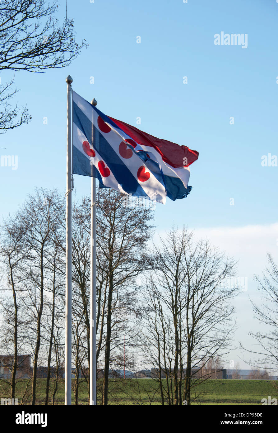 the friesland and dutch flag together in the wind Stock Photo