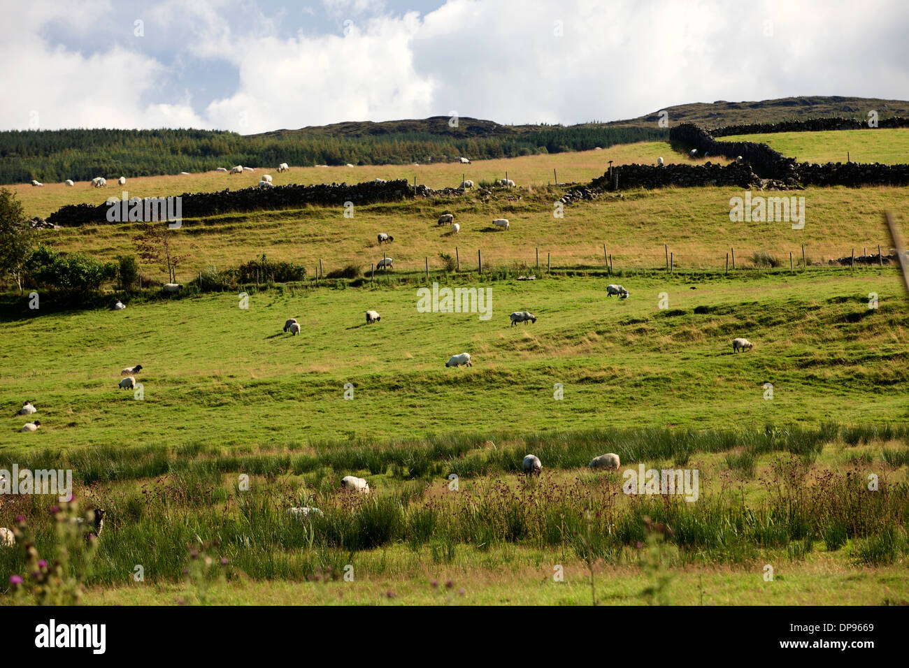 Ring of Kerry, Co. Kerry, Ireland Stock Photo - Alamy