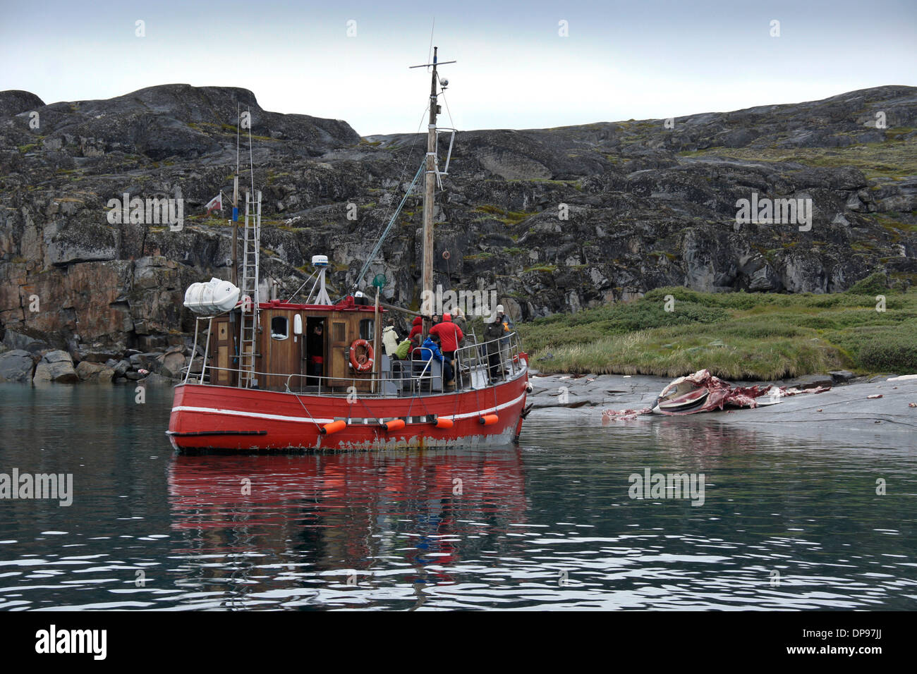 Greenland whale hunting hi-res stock photography and images - Alamy