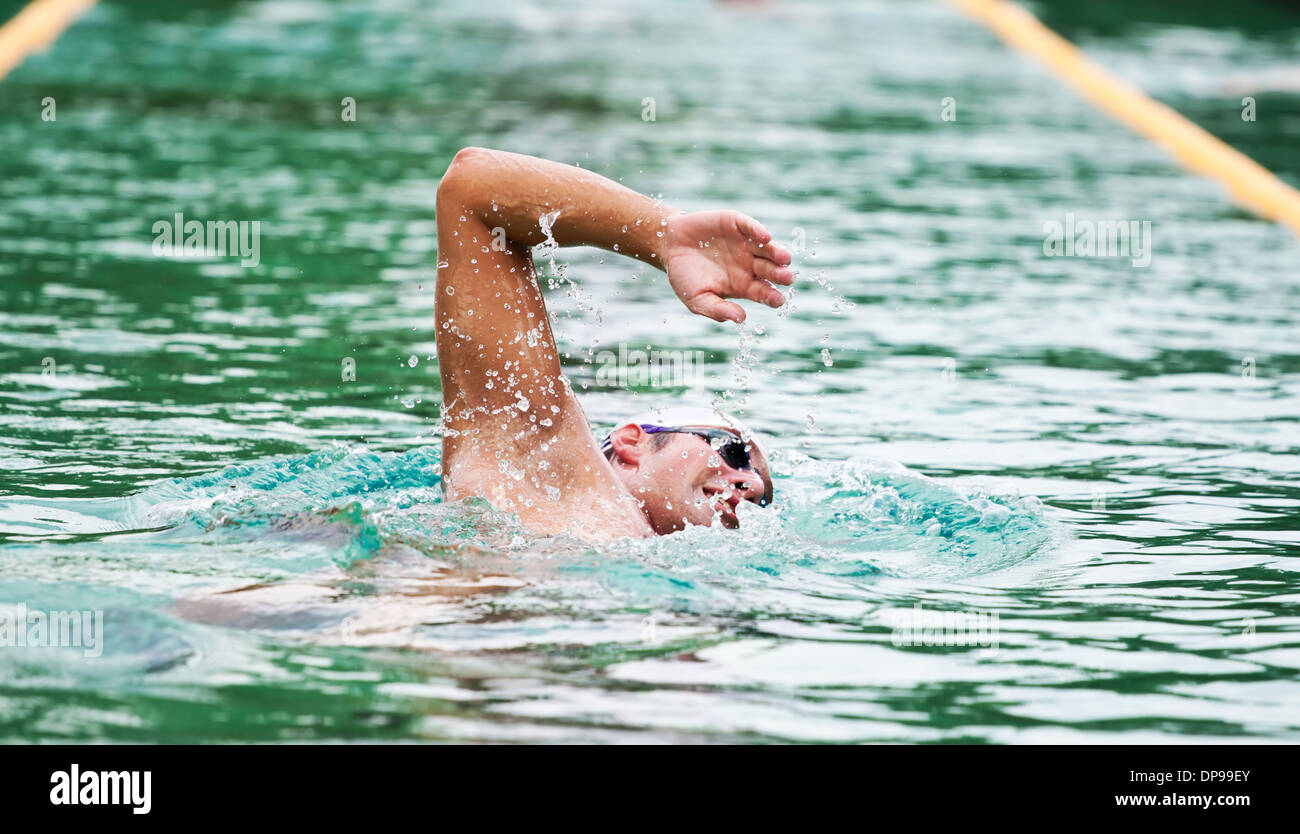 Stay in the swim the. Плавание в бассейне калории. Stay in the swim the. Stay in the swim the. Молодые пловцы.