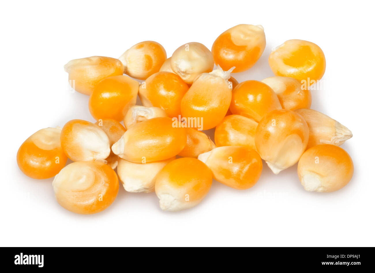 Corn kernel hires stock photography and images Alamy