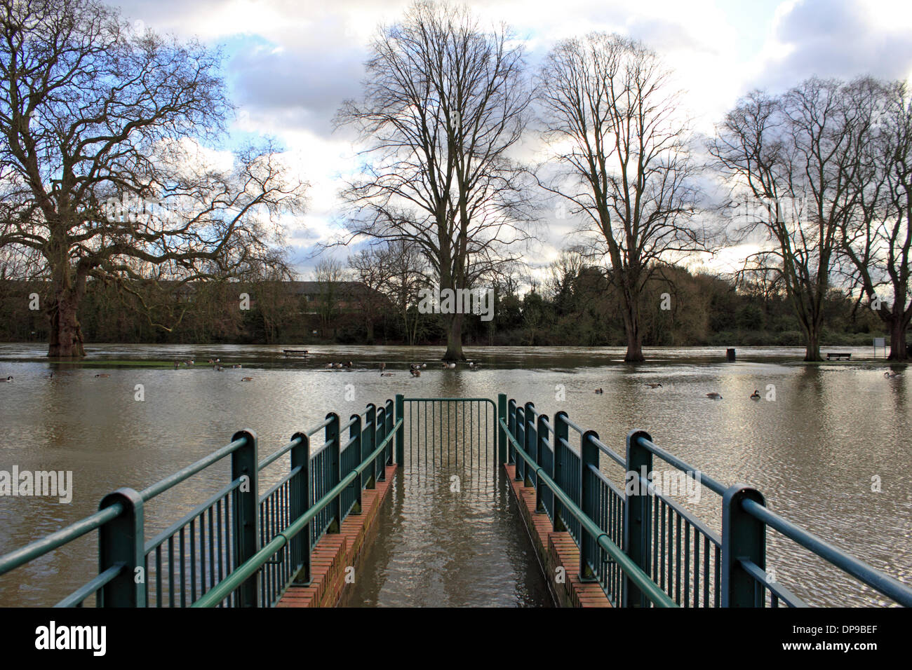 SunburyonThames, Surrey, England, UK. 9th January 2014. The River Thames has flooded at Lower