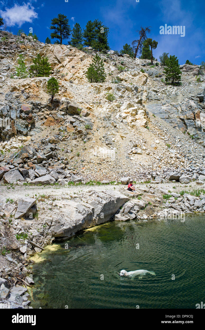 Woman watches Platinum colored Golden Retriever swimming in abandoned mine quarry near Turret, Central Colorado, USA Stock Photo