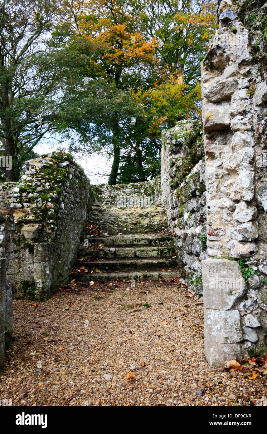 An interior view of the ruins of a Norman bishop's private chapel at North Elmham, Norfolk, England, United Kingdom. Stock Photo