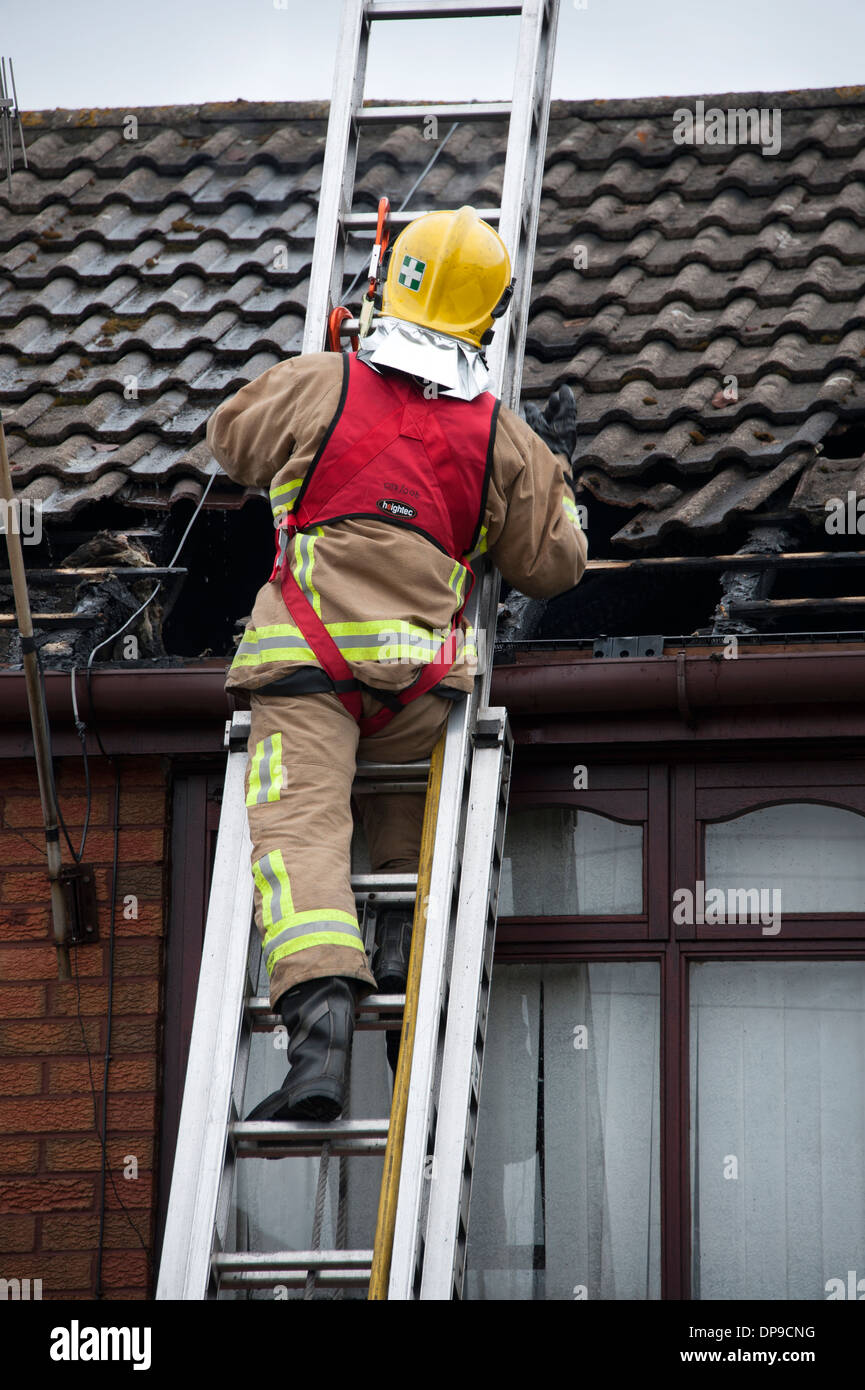 Firefighter in RAG harness safety on ladder height Stock Photo Alamy
