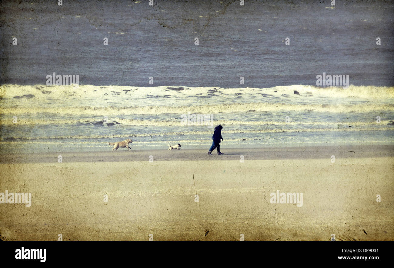 Woman walking her two dogs on beach hi-res stock photography and images ...