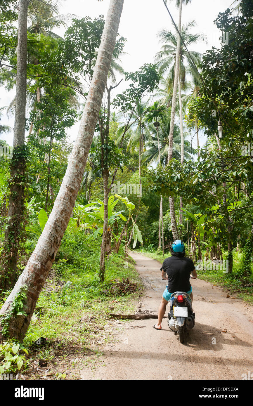 Rear view of young man riding scooter on an unpaved road  Koh Pha Ngan  Thailand Stock Photo