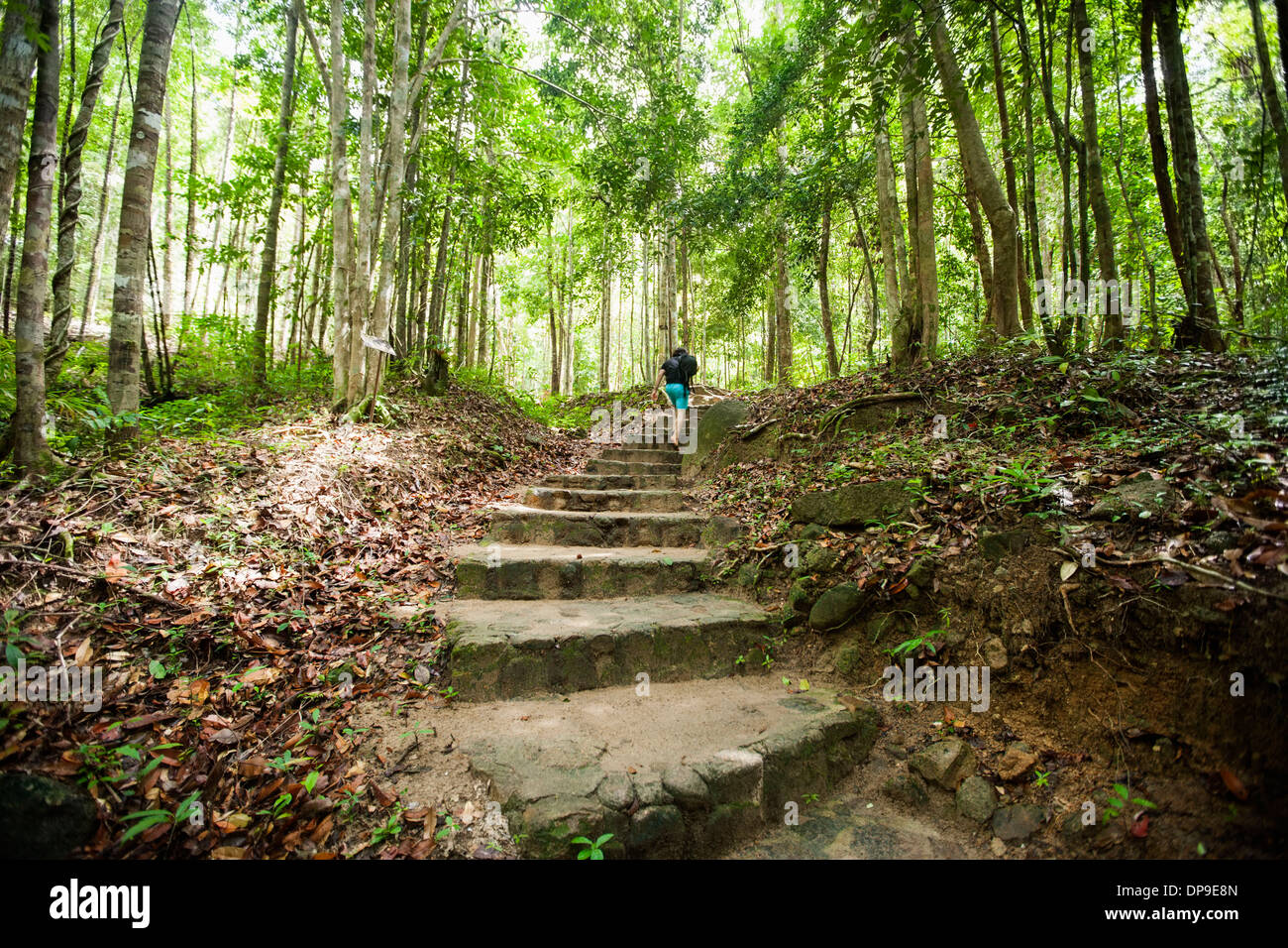 Back view young male hiking hi-res stock photography and images - Alamy