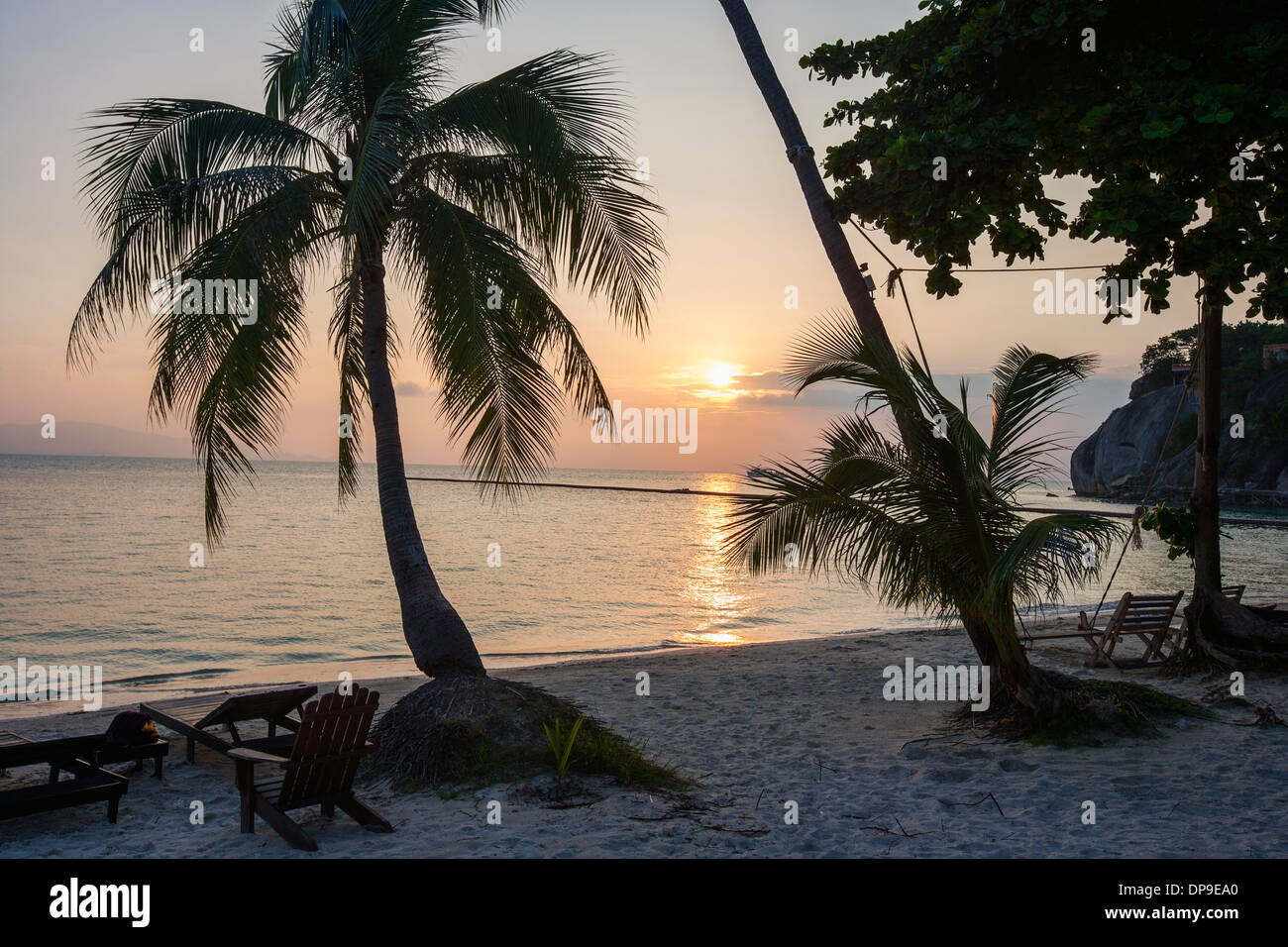 Palm trees and deck chairs on beach at sunset  Koh Pha Ngan  Thailand Stock Photo