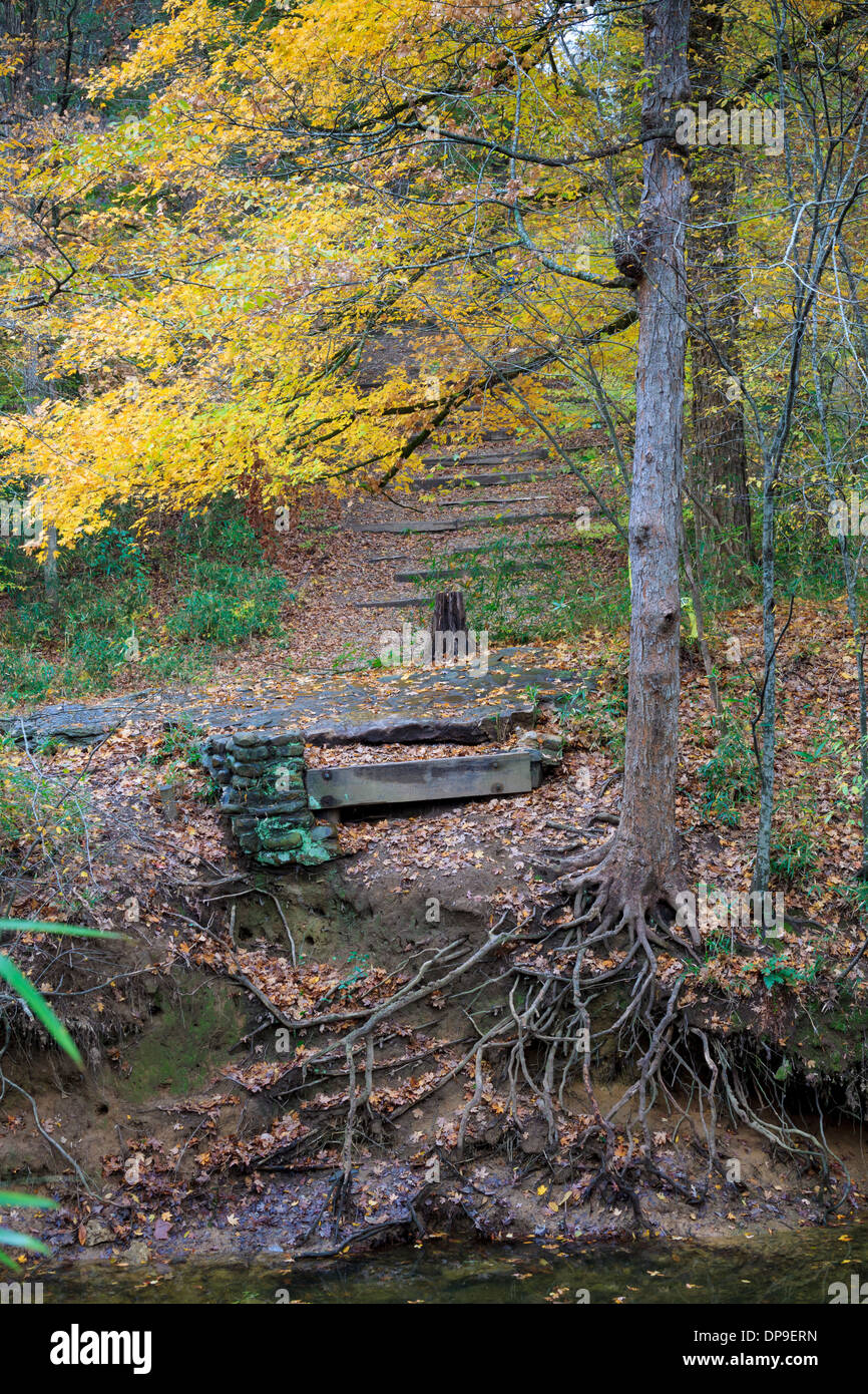 Beavers bend state park hires stock photography and images Alamy