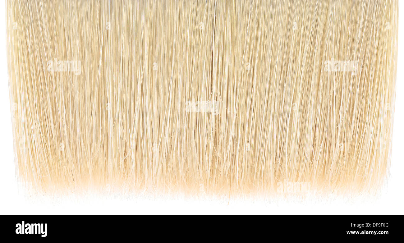 detail of paint brush hair Stock Photo Alamy
